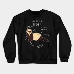 Anatomy of a Ferret Crewneck Sweatshirt